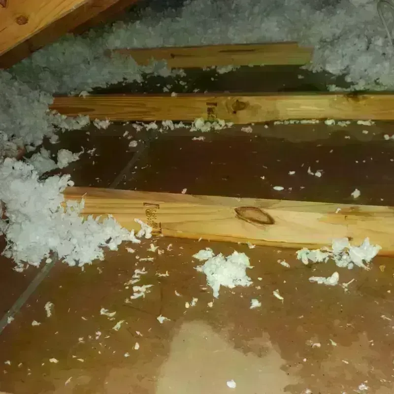 Attic Water Damage in Sanger, TX