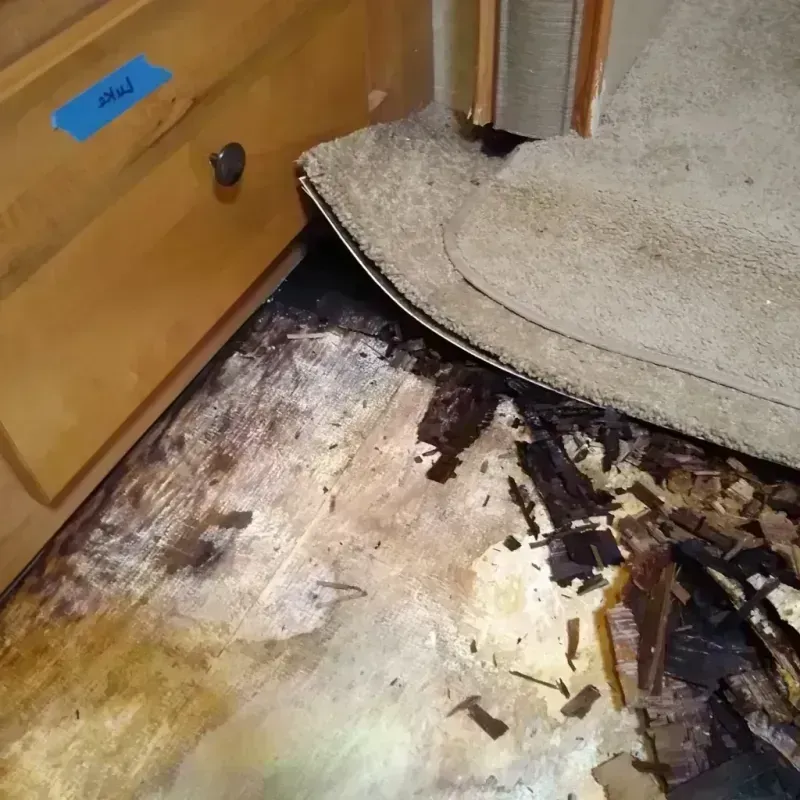 Wood Floor Water Damage in Sanger, TX